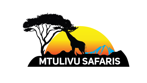 Let your soul explore the nature Mtulivu Safaris