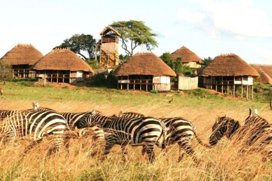 Kidepo Valley national park